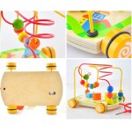 Joc indemanare, de condus bile si de tras